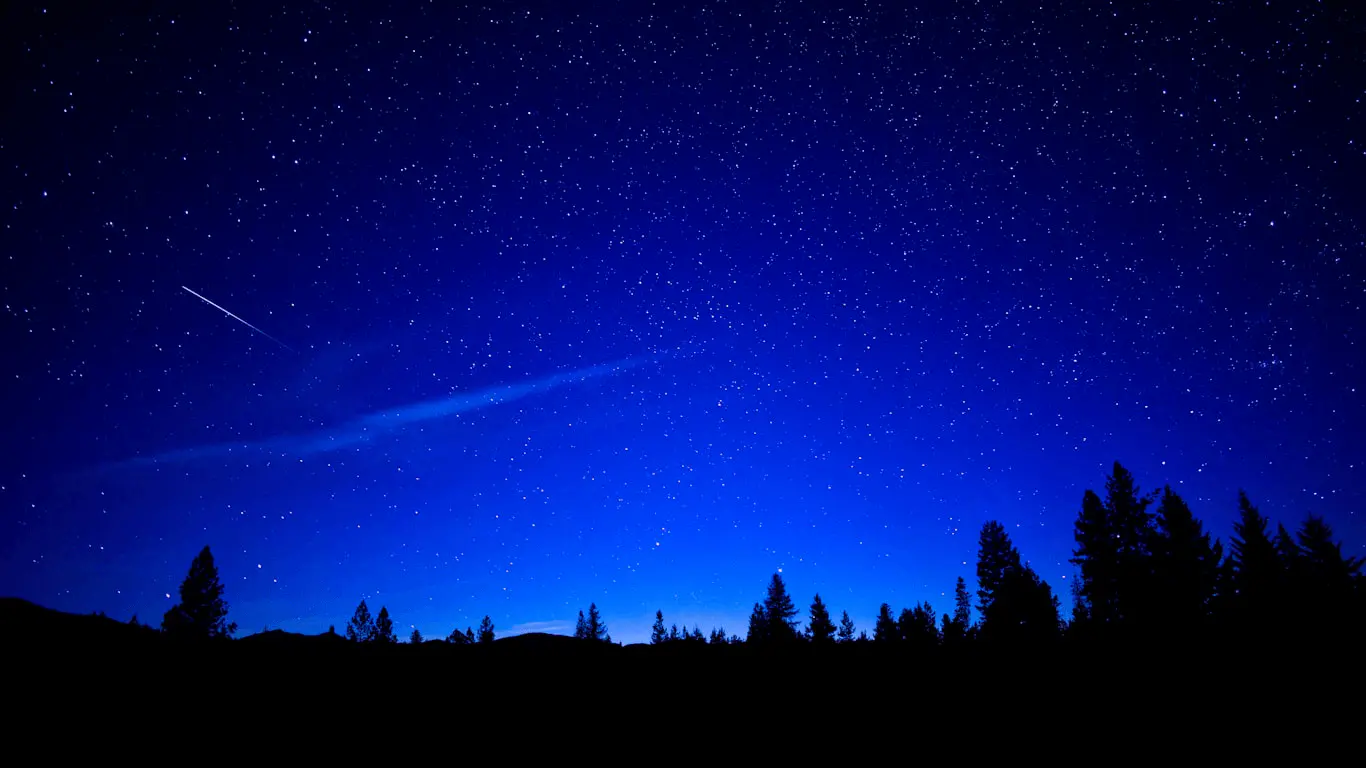 A meteor trail crosses a summer sky full of stars, above a line of pines in silhouette.