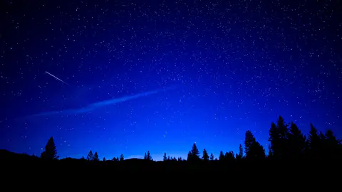 Une traînée de météore traverse un ciel d'été piqué d'étoiles, au-dessus d'une ligne de pins en silhouette.