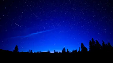 Une traînée de météore traverse un ciel d'été piqué d'étoiles, au-dessus d'une ligne de pins en silhouette.