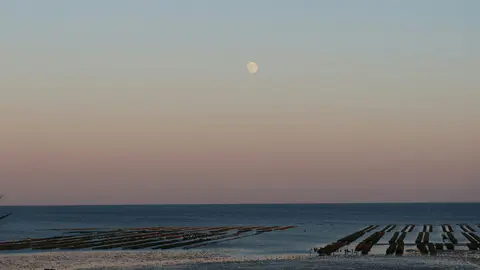 Une Lune presque pleine, basse dans un ciel crépusculaire rose et bleu, au-dessus de parcs à huîtres découverts par la marée et d'un horizon marin entièrement dégagé.
