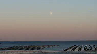 Une Lune presque pleine, basse dans un ciel crépusculaire rose et bleu, au-dessus de parcs à huîtres découverts par la marée et d'un horizon marin entièrement dégagé.